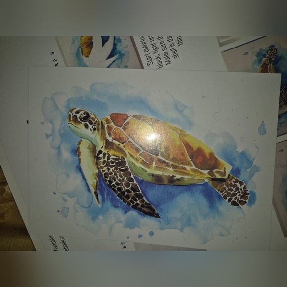 Lets MAKE Art SEA Turtle Kit.  New - Picture 1 of 5